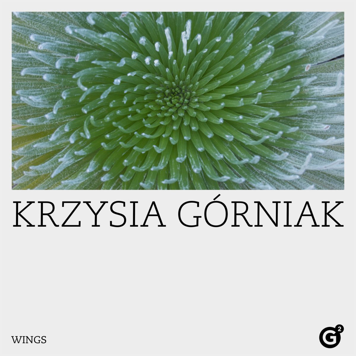 Okładka albumu Wings